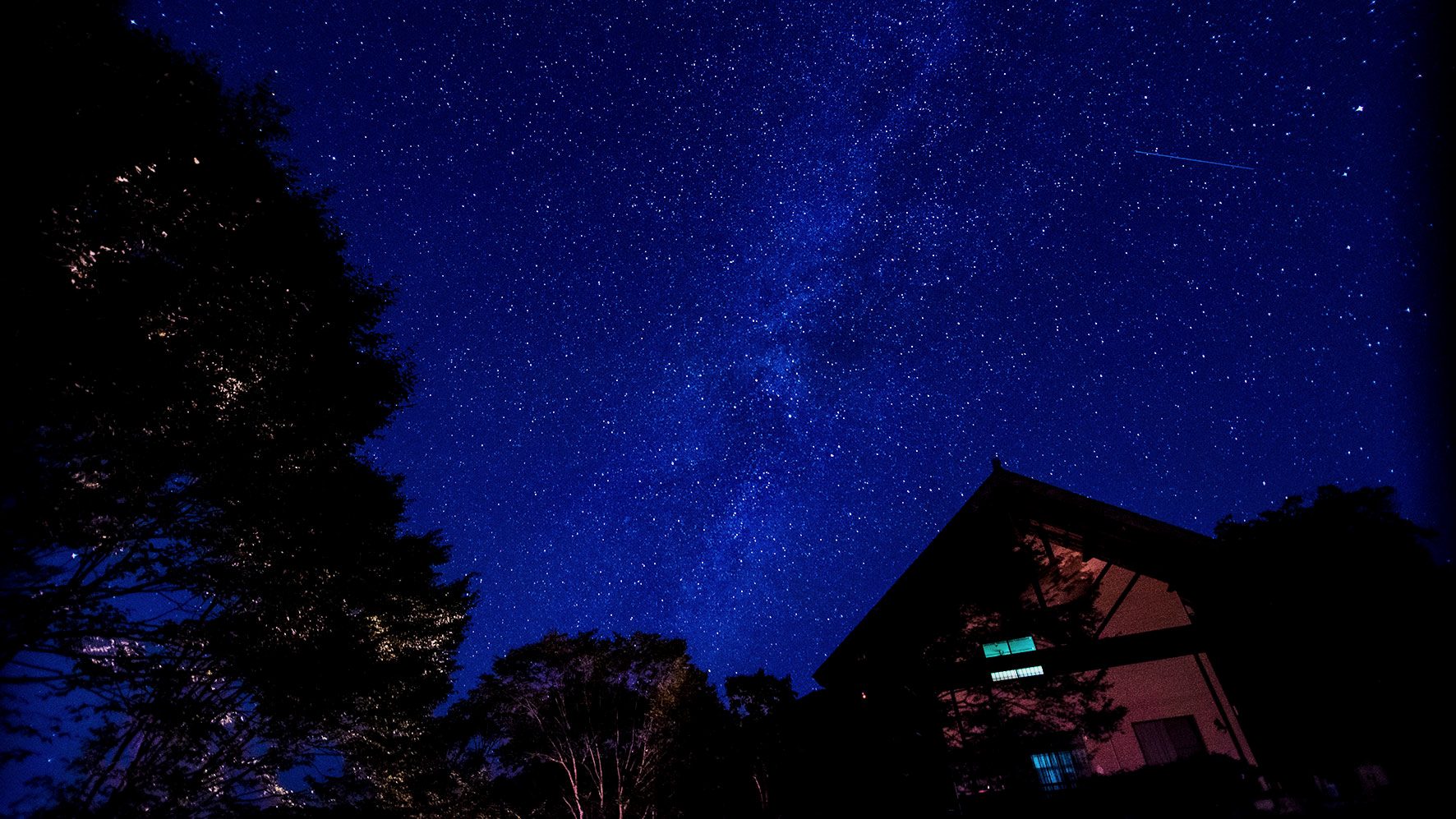 なつつばきの上に広がる星空